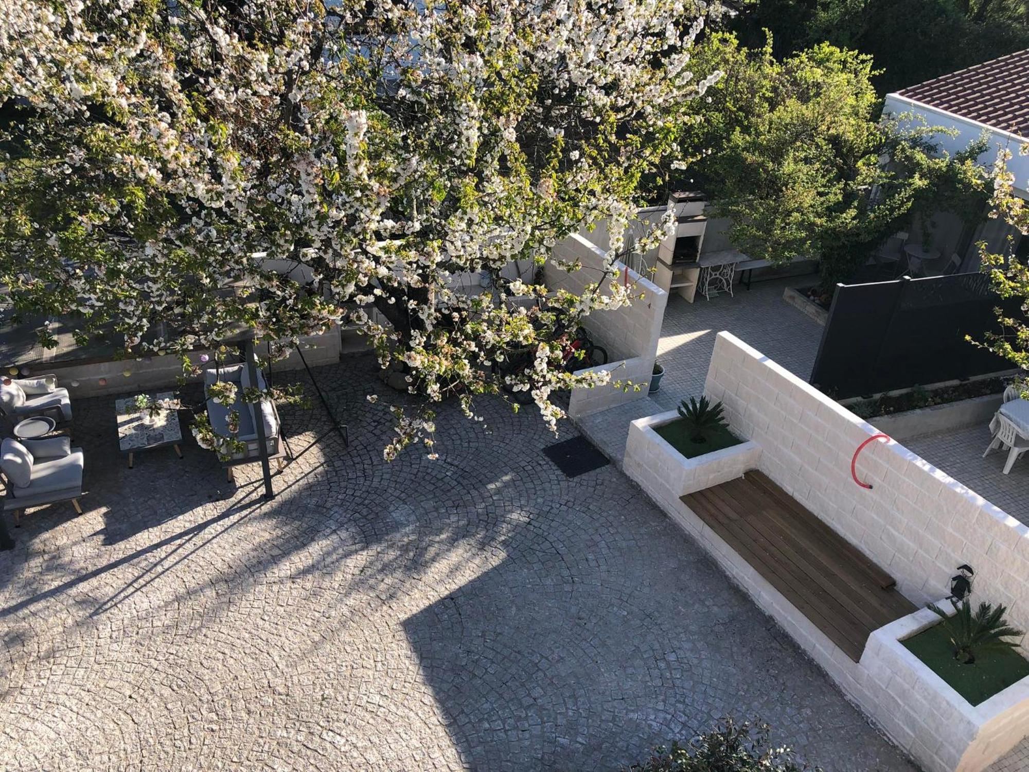 Casa da Avó Olinda Góis Exterior foto